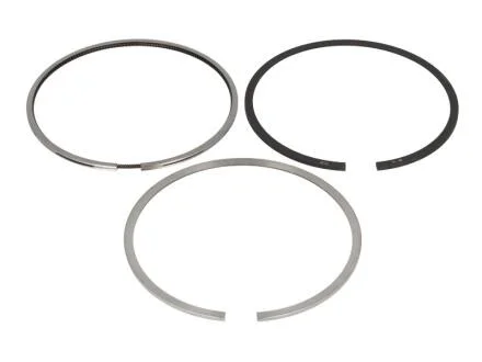 Кольца поршневые DIESEL PASSEND F. DEUTZ 101,0 (KS) KOLBENSCHMIDT 800057310000