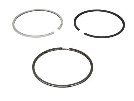 Комплект поршневых колец KOLBENSCHMIDT 800071110000