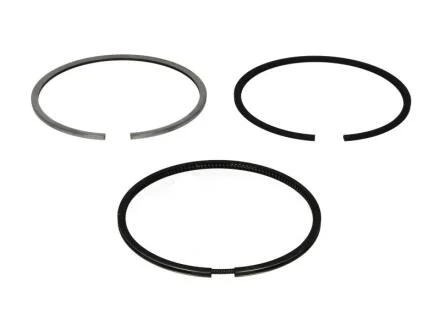 Кольца поршневые DIESEL IVECO 102,50 (KS) KOLBENSCHMIDT 800071110050