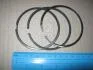 Кільця поршневі, комплект на 1 циліндр SKODA/VW Octavia,Fabia,Roomser,Superb,Caddy,Golf,Touran,Passa KOLBENSCHMIDT 800072510000 (фото 1)