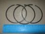 Кільця поршневі KOLBENSCHMIDT 800072510025 (фото 1)