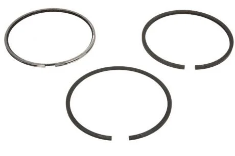 Кольца поршневые DIESEL PASSEND F. DEUTZ 94,250 (KS) KOLBENSCHMIDT 800073210025