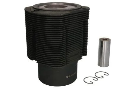 Поршень з гільзою (STD) AGCO R DEUTZ FAHR AGROSTAR / AGROSTAR DX, DX, TOPLINER (4000) BF6L413-BF8L513 KOLBENSCHMIDT 91 043 971 (фото 1)