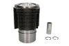 Гільза поршень / DEUTZ TRUCK 100.0 FЕL912D 92 815 960