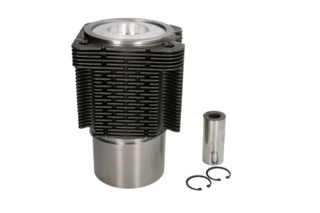 Поршень PASSENDF. DEUTZ 100 (KS) KOLBENSCHMIDT 93 535 961 (фото 1)