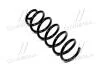 Пружина KYB RA5197 (фото 1)