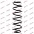 Пружини підвіски KYB RA6243 (фото 1)