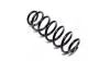 Пружина підвіски задн Лів/Прав SKODA OCTAVIA II VW GOLF PLUS V, GOLF V, GOLF VI, JETTA IV 1.4-2.0D 01.05-12.17 KYB RA7102 (фото 1)