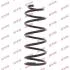 Пружини підвіски KYB RC1075 (фото 1)