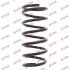 Пружини підвіски KYB RC5895 (фото 1)