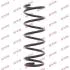 Пружини підвіски KYB RC5905 (фото 1)