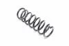 Пружина задня Peugeot 4007 D14,5/117 L359 L/R KYB RC6279 (фото 3)