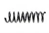 Пружина LESJOFORS 4056825 (фото 4)
