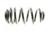 Пружини підвіски LESJOFORS 4263507 (фото 3)