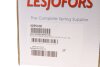Пружина ходовой части LESJOFORS 4295100 (фото 2)