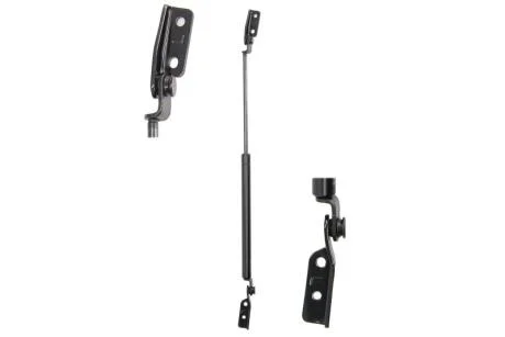 Амортизатор кришки багажника LESJOFORS 8162027