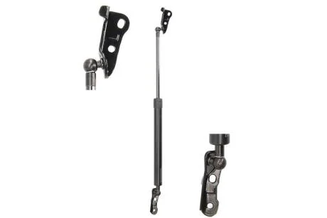 Амортизатор задней (5) двери LESJOFORS 8192539