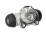 Тормозной цилиндр Kangoo 2х торсионная (36mm между центрами) LPR 4028 (фото 1)