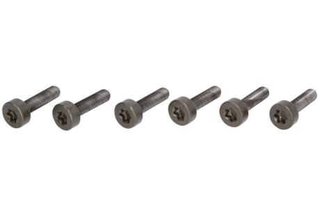 Болт маховика BMW E81/E87/E46 00- (компл. 6 шт) LuK 411 0247 10