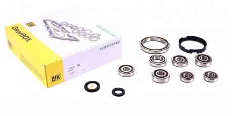 Ремкомплект КПП Renault Master II/Trafic II 1.9dCi LuK 462020310