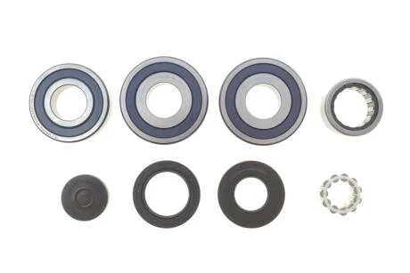 Ремонтний комплект, КПП LuK 462023910