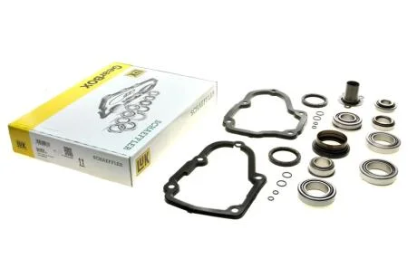 Комплект підшипників КПП LuK 462 0318 10