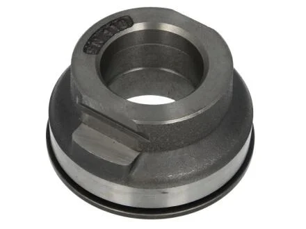 Підшипник зчеплення d>30 / ПОДШИПНИК DAF F/FA65MAN 8-10/12/14.. D0226/0826 93-, RVI MIDLINE LuK 500 0083 21