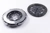 Комплект зчеплення Laguna II/III/Megane II/Scenic II 2.0dCi 05- (250mm) LuK 625 3038 09 (фото 1)