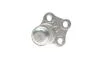 Кульова опора (шарнір) MAGNETI MARELLI 301191619560 (фото 3)