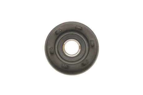 Ролик генератора Renault Clio III/Megane II//Scenic II 2.0 1.6V/1.9dCi 03- MAGNETI MARELLI 331316170087