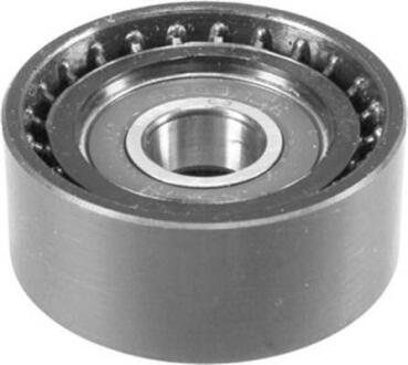 Ролик модуля натягувача ременя MAGNETI MARELLI 331316170167