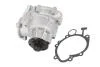 Насос охолоджуючої рідини MAGNETI MARELLI 352316170051 (фото 1)