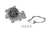 Насос охолоджуючої рідини, з ущільненням FORD RANGER MAZDA B-SERIE, BT-50, MPV I 2.5D 05.96-12.15 MAGNETI MARELLI 352316170739 (фото 1)