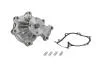 Насос охолоджуючої рідини, з ущільненням FORD RANGER MAZDA B-SERIE, BT-50, MPV I 2.5D 05.96-12.15 MAGNETI MARELLI 352316170739 (фото 2)