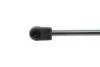 Газовий амортизатор (GAS SPRING) OPEL ASTRA G 01/98-03/04 TAILGATE WITHOUT SPOILER - HATCHBACK, 3 AND 5 DOORS WITHOUT OPC, ECO, SPORT [430719016 MAGNETI MARELLI 430719016500 (фото 3)