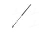 Газовий амортизатор багажника SKODA OCTAVIA RS (1U2) 09/00- TAILGATE WITHOUT WIPER- SEDAN RALLY SPORT VERSION [] MAGNETI MARELLI 430719022000 (фото 2)