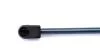 Амортизатор багажника/капота (кор.код. GS0298) MAGNETI MARELLI 430719029800 (фото 2)