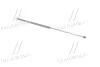 Амортизатор багажника AUDI 100 (кор.код. GS0380) MAGNETI MARELLI 430719038000 (фото 3)