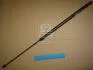 Амортизатор капота SKODA SUPERB (кор.код. GS0686) MAGNETI MARELLI 430719068600 (фото 1)