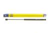 Амортизатор багажника MAGNETI MARELLI 430719073200 (фото 1)