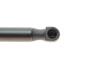 Амортизатор багажника MAGNETI MARELLI 430719084200 (фото 3)