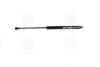 Амортизатор багажника MERCEDES-BENZ (кор.код. GS0973) MAGNETI MARELLI 430719097300 (фото 1)