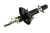 Амортизатор передн Лів/Прав AUDI A3 SEAT LEON, TOLEDO II SKODA OCTAVIA I VW BORA, BORA I, GOLF IV 1.4-2.0 09.96-12.13 MAGNUM TECHNOLOGY AGW018MT (фото 2)