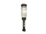 Амортизатор з пневмоподушкою передн Лів/Прав LAND ROVER DISCOVERY III, DISCOVERY IV, RANGE ROVER SPORT I 2.7D-5.0 07.04-12.18 MAGNUM TECHNOLOGY APL009MT (фото 1)