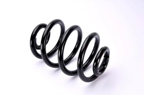 Пружина підвіски задн Лів/Прав BMW 3 (E46) 1.8-3.0D 06.99-12.07 MAGNUM TECHNOLOGY SB049MT