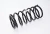 Пружина ходової частини MAGNUM TECHNOLOGY SS003MT (фото 2)