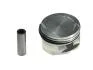 Поршень 011 69 00