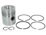 Поршень (Mahle) MAHLE / KNECHT 043 78 00 (фото 1)