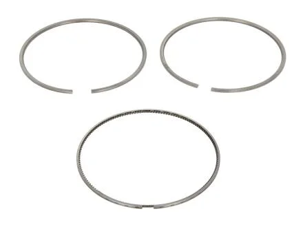 Кільця поршневі (набір) MAHLE / KNECHT 209 RS 10100 0N0