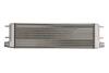 Радіатор масла ДВз W140/W124/W463(Premium Line! OE) MAHLE / KNECHT CLC 169 001P (фото 2)